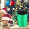 500 Yards Green Crimped Curling Ribbon Shiny Metallic Balloon Roll for Gift Box Wrapping Ribbon Florist Flowers Decoration,Church Stage Design,Party Decorations, Festival Art Craft Decor